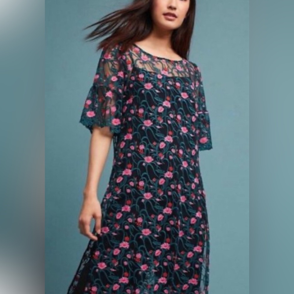 Anthropologie Moulinette Soeurs Embroidered mesh dress